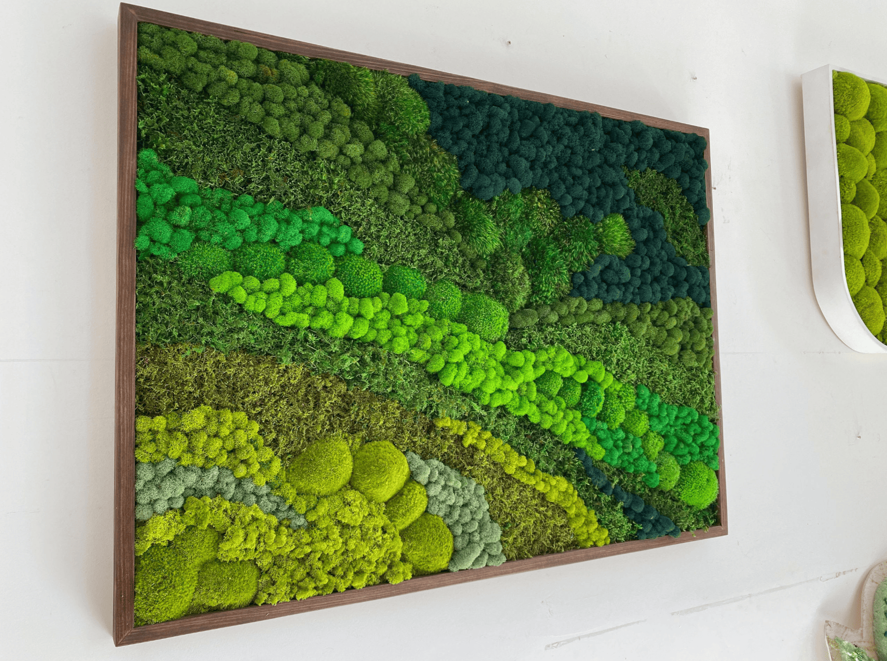 Moss Wall Art - Rolling Hills | Gardeners Emporium